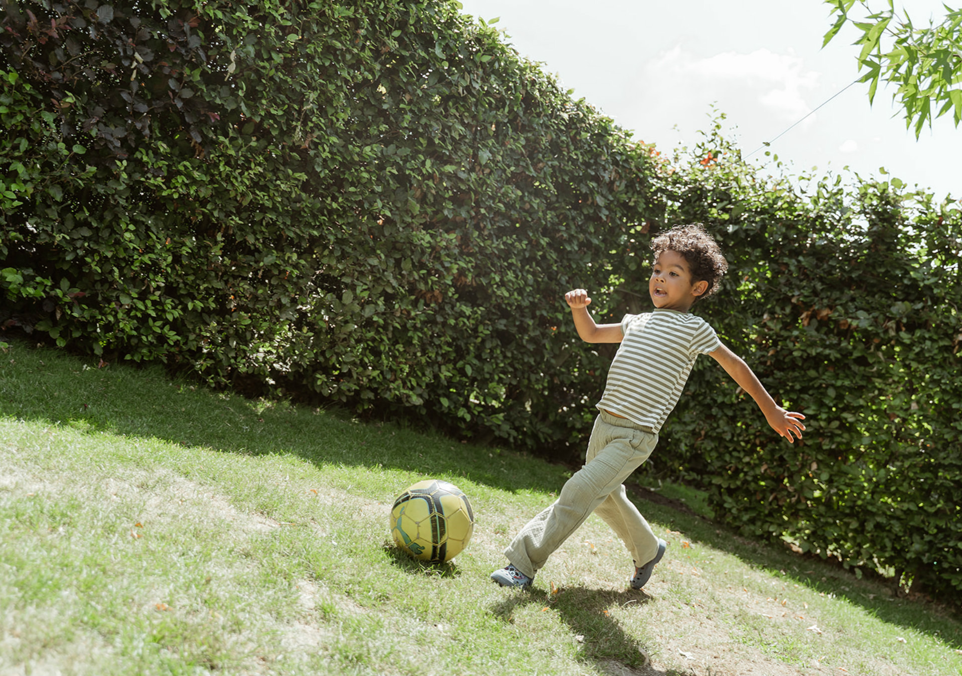 Alvin Family The Specials