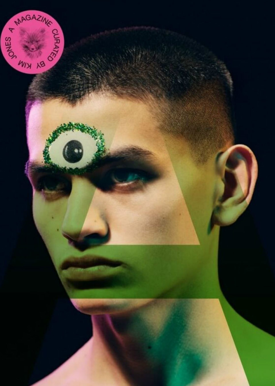 Sakua Kambong Mainboard MAXModels