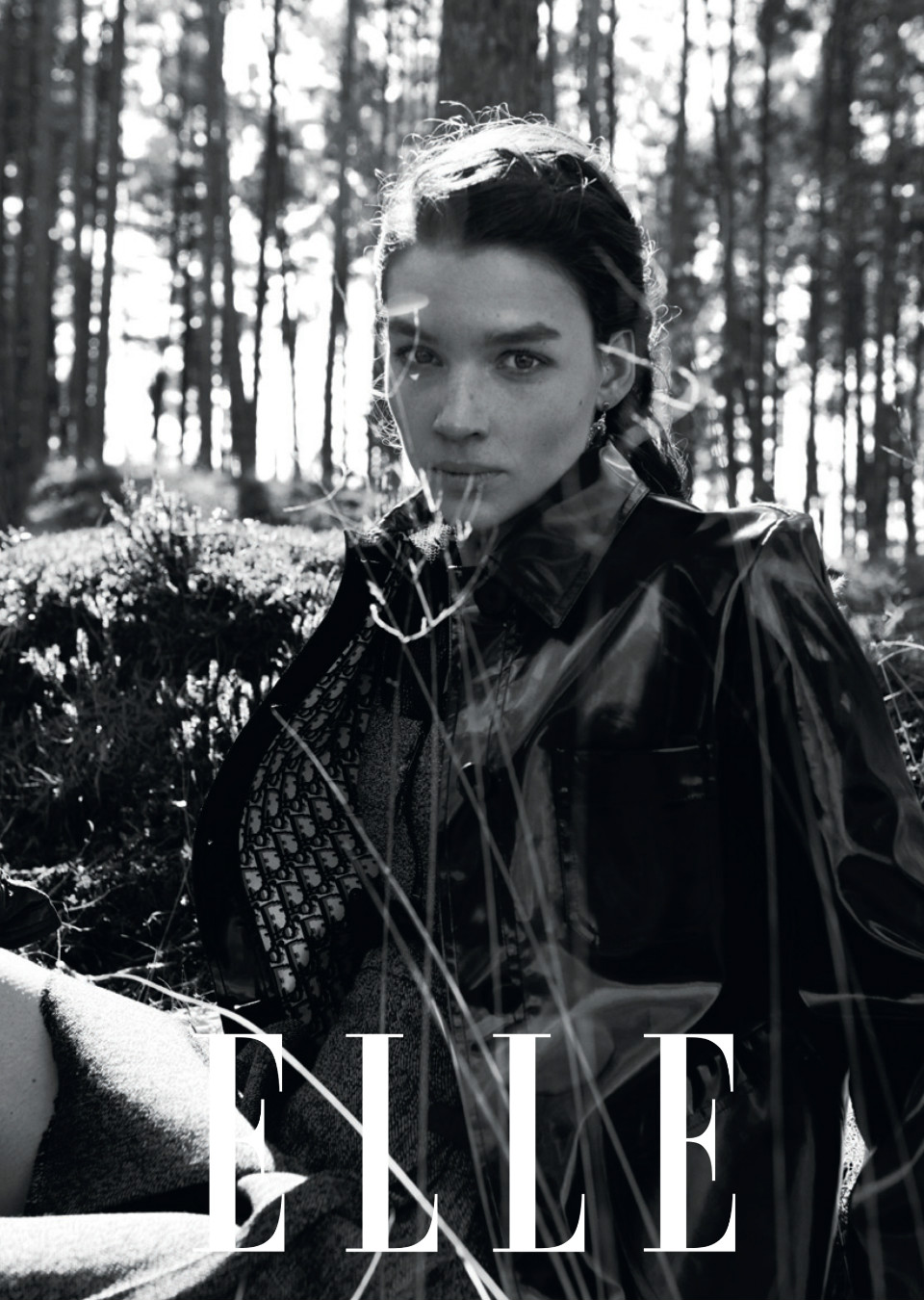 Liza Karol Mainboard Touché Models