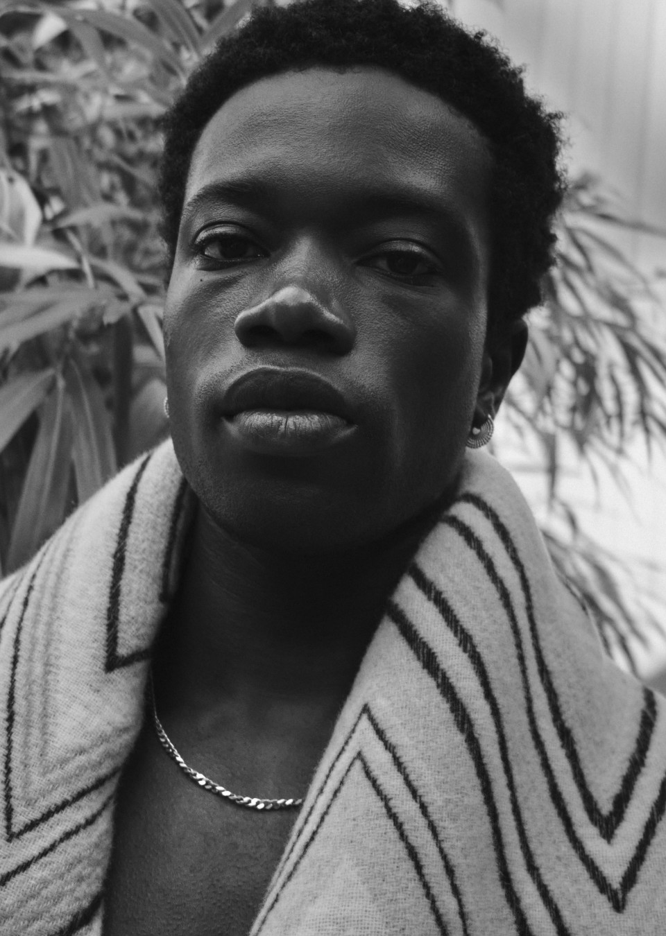 Bori Ajani  MAXModels