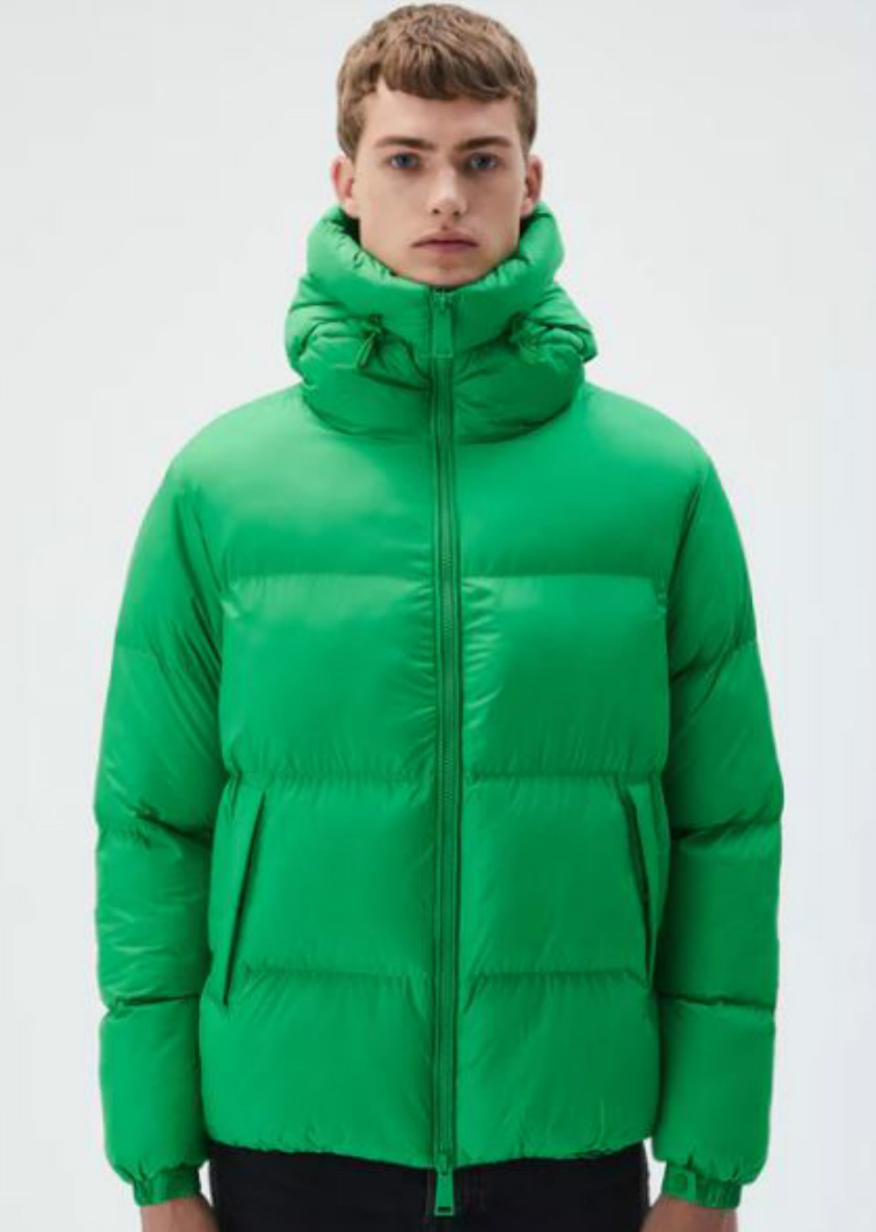 Etienne van den Heuvel Mainboard MAXModels