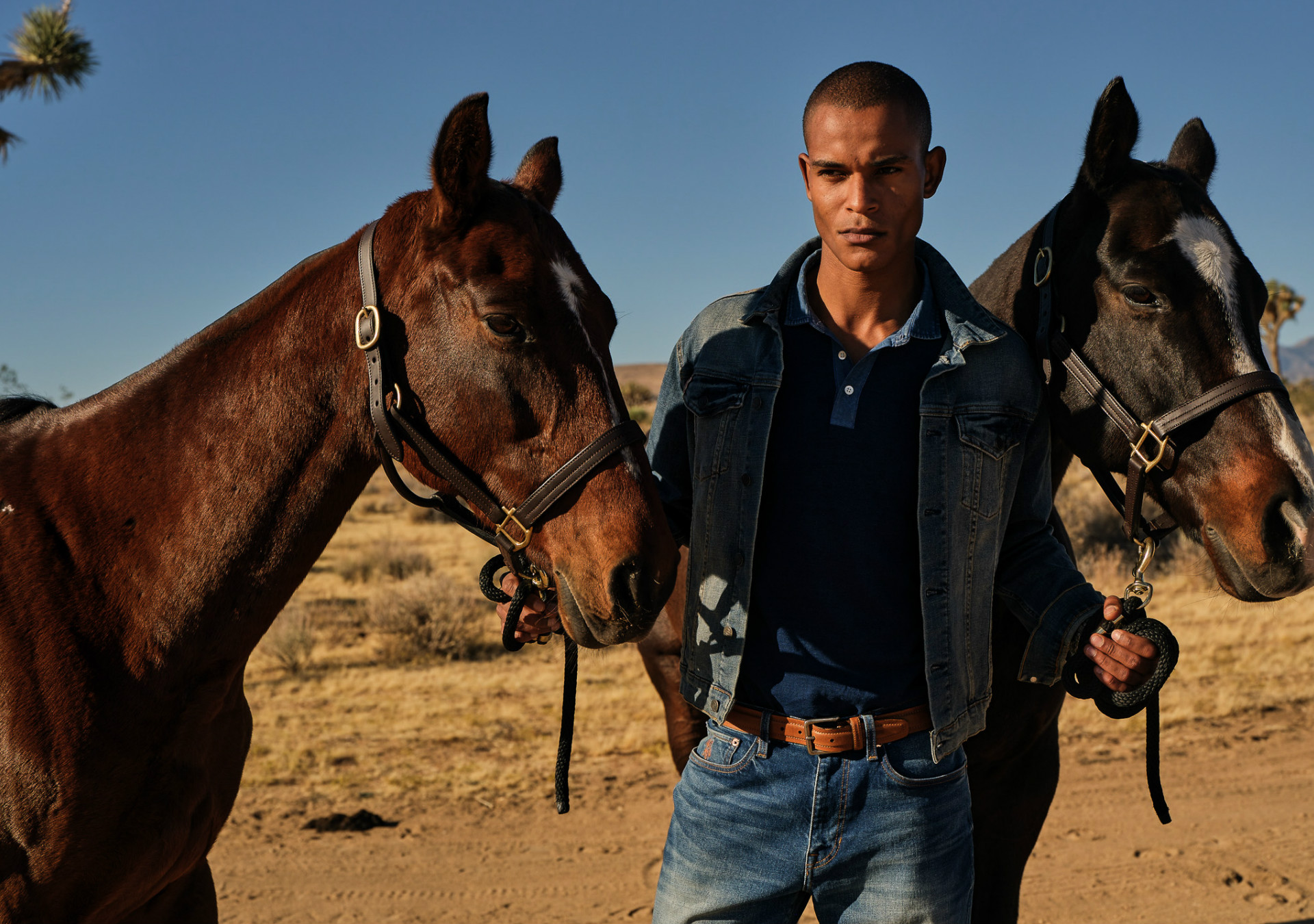 Seba Ntab Mainboard MAXModels