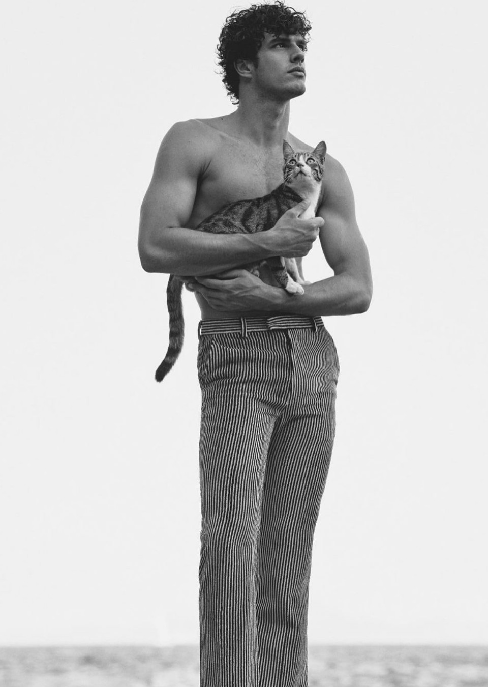 Francesco Ruggiero Mainboard MAXModels