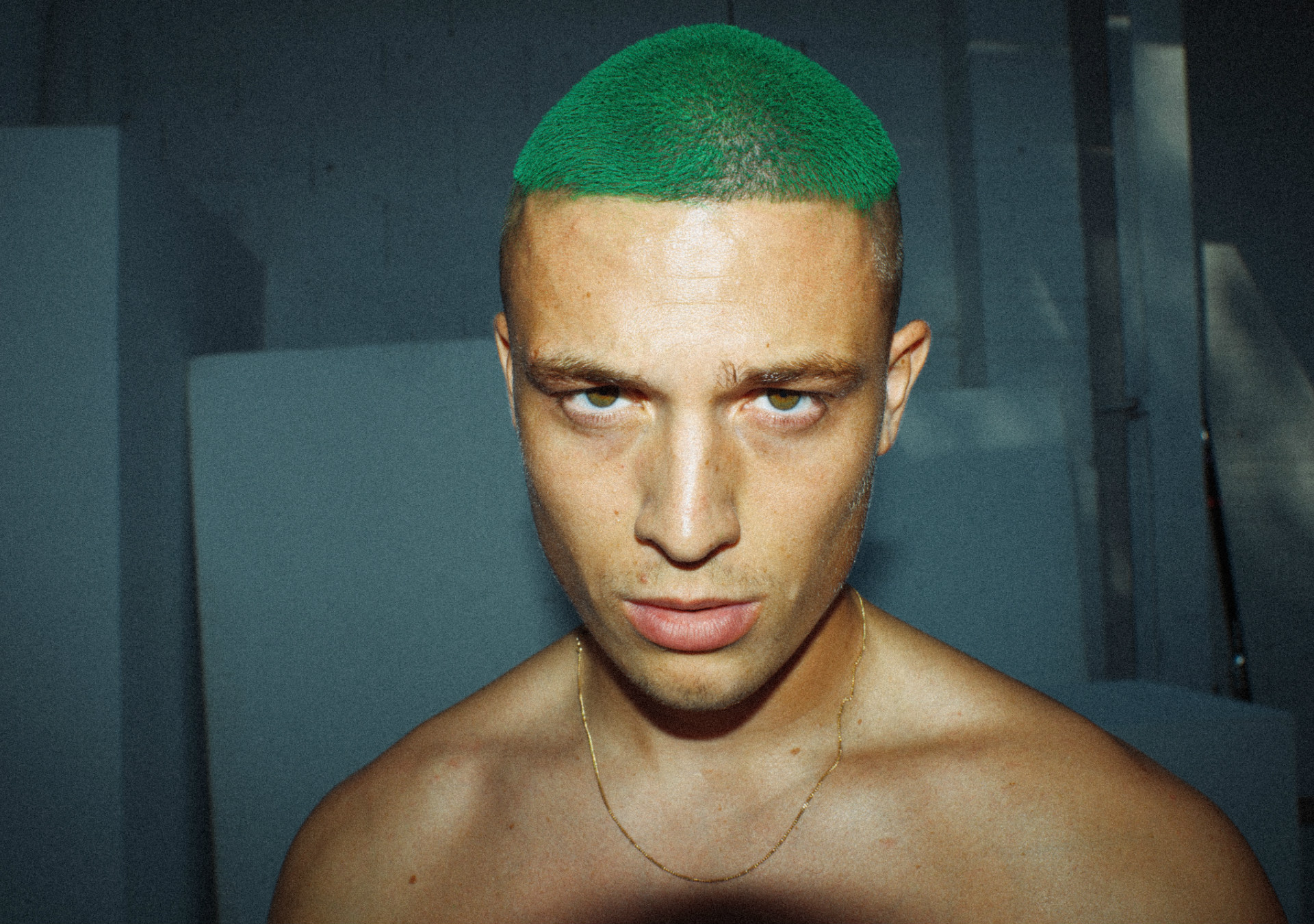 Aman Lowe Mainboard MAXModels