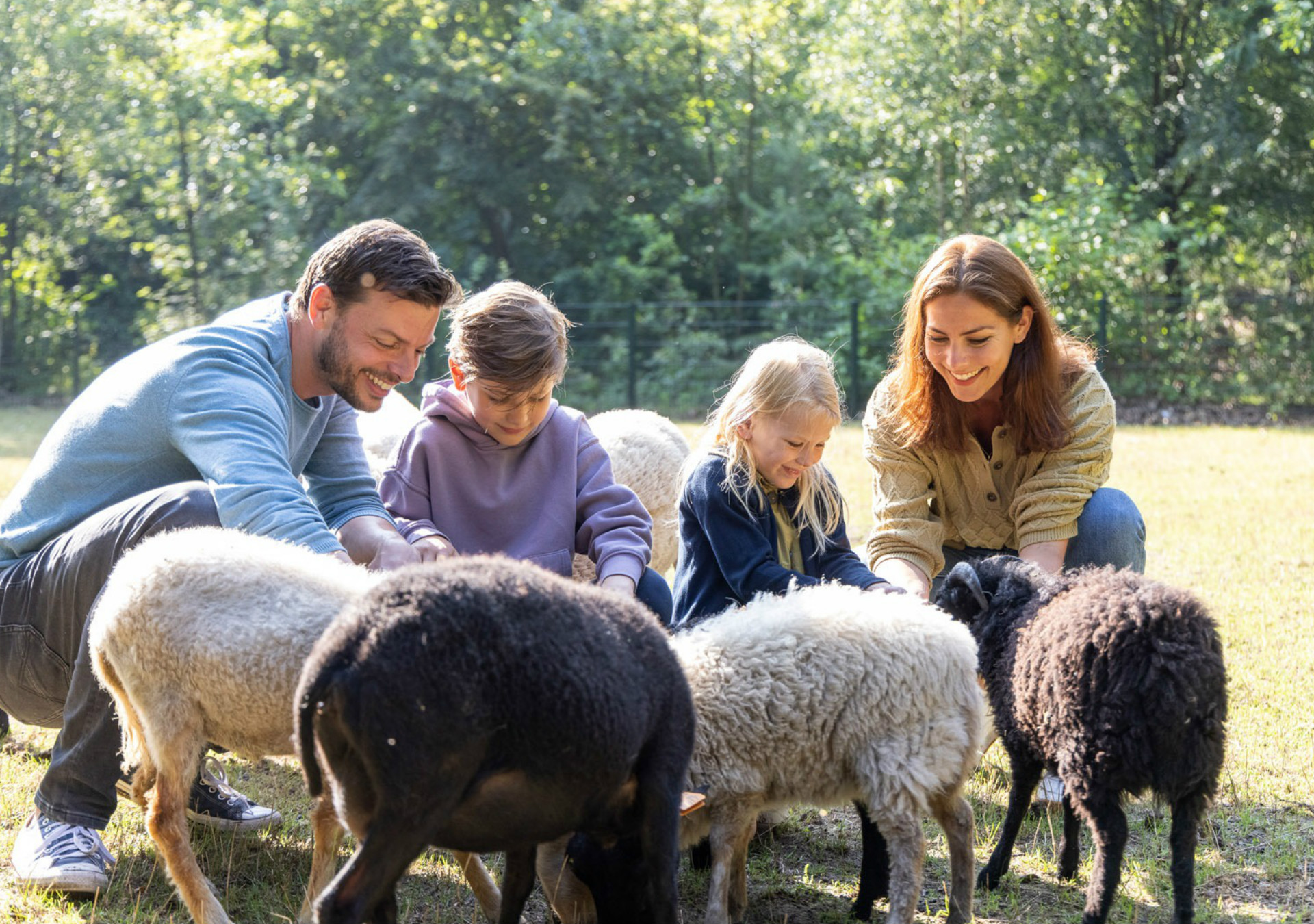 DERI Family The Specials