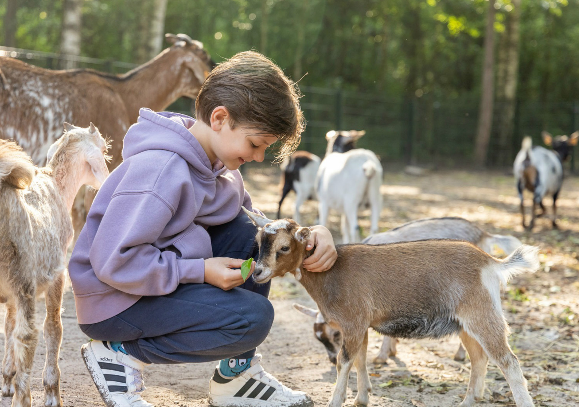 DERI Family The Specials