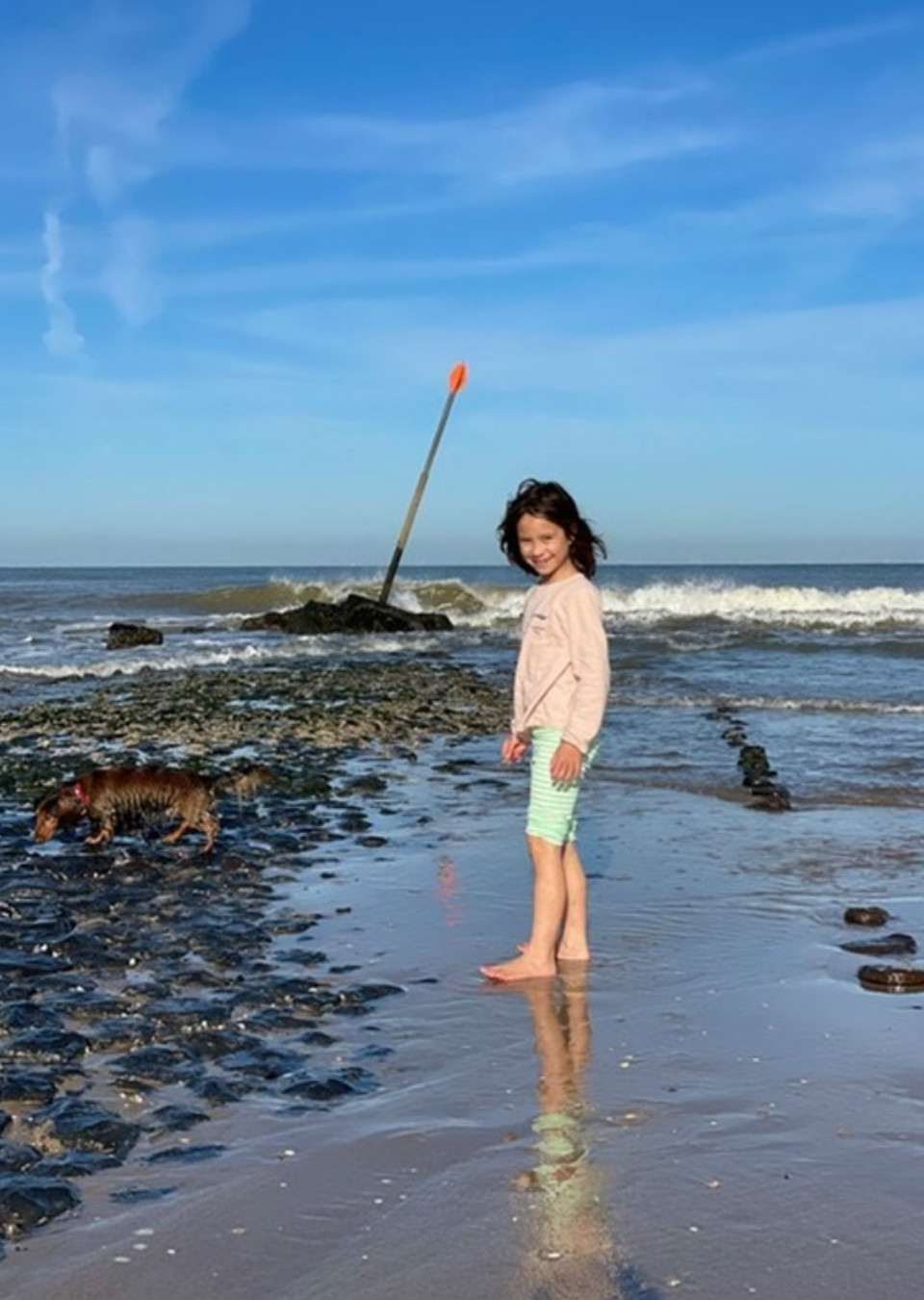 TAMAR Family The Specials