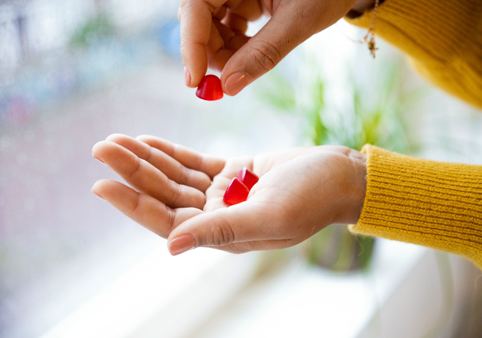 Suzanne Hand models The Specials