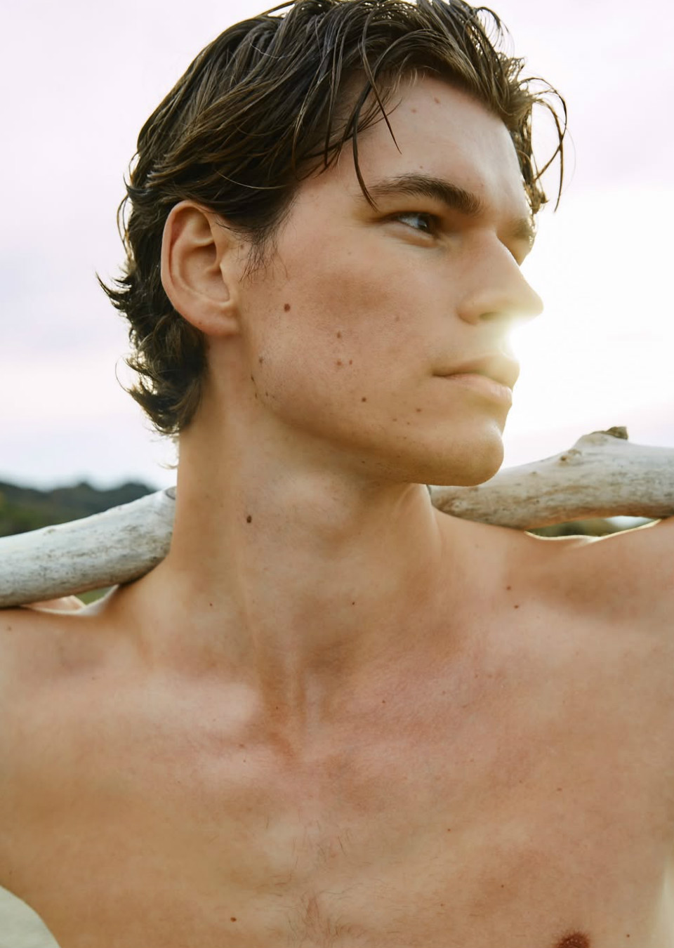 Jos Schenk Mainboard MAXModels