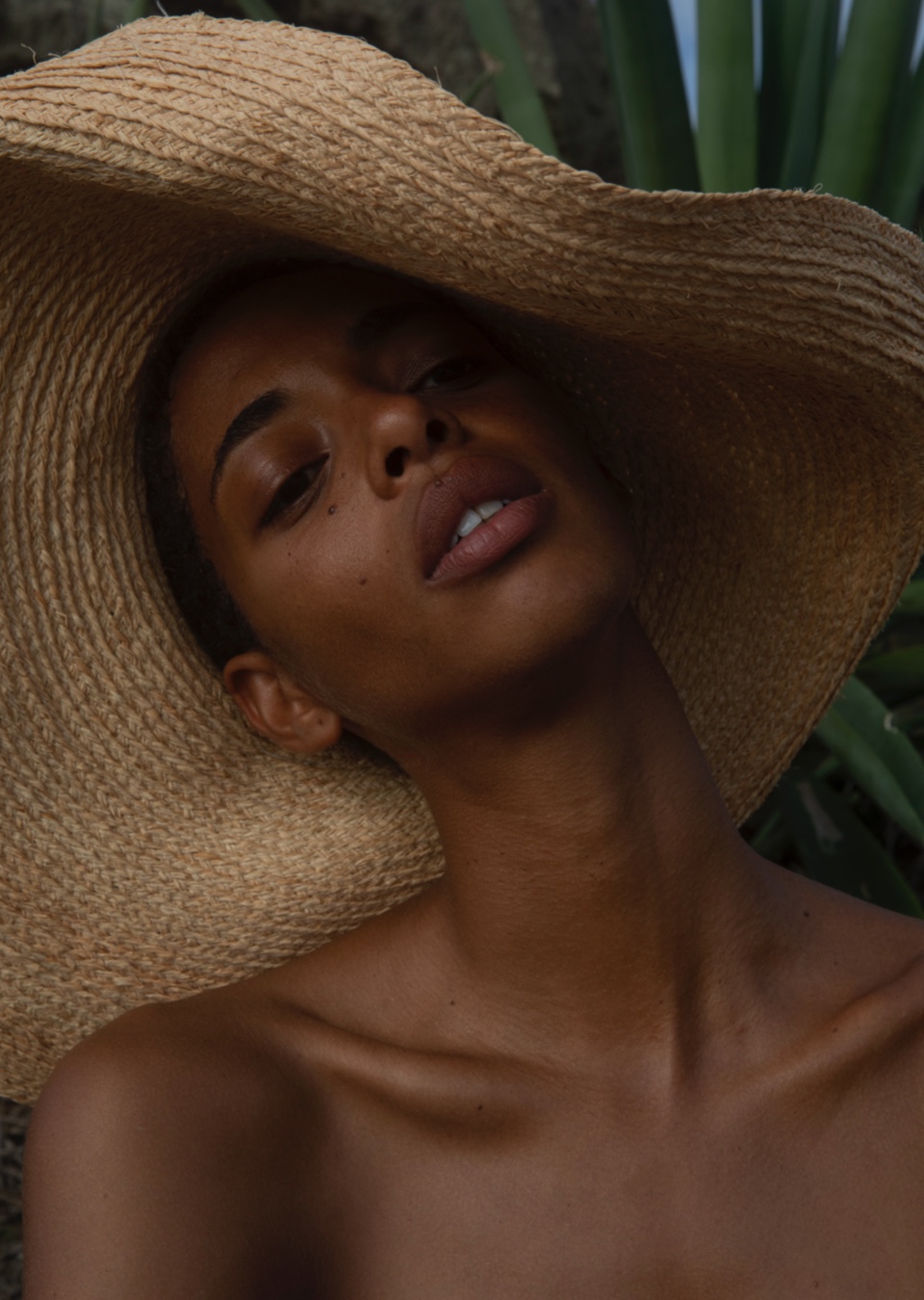 GILONE LENTULUS Mainboard Touché Models