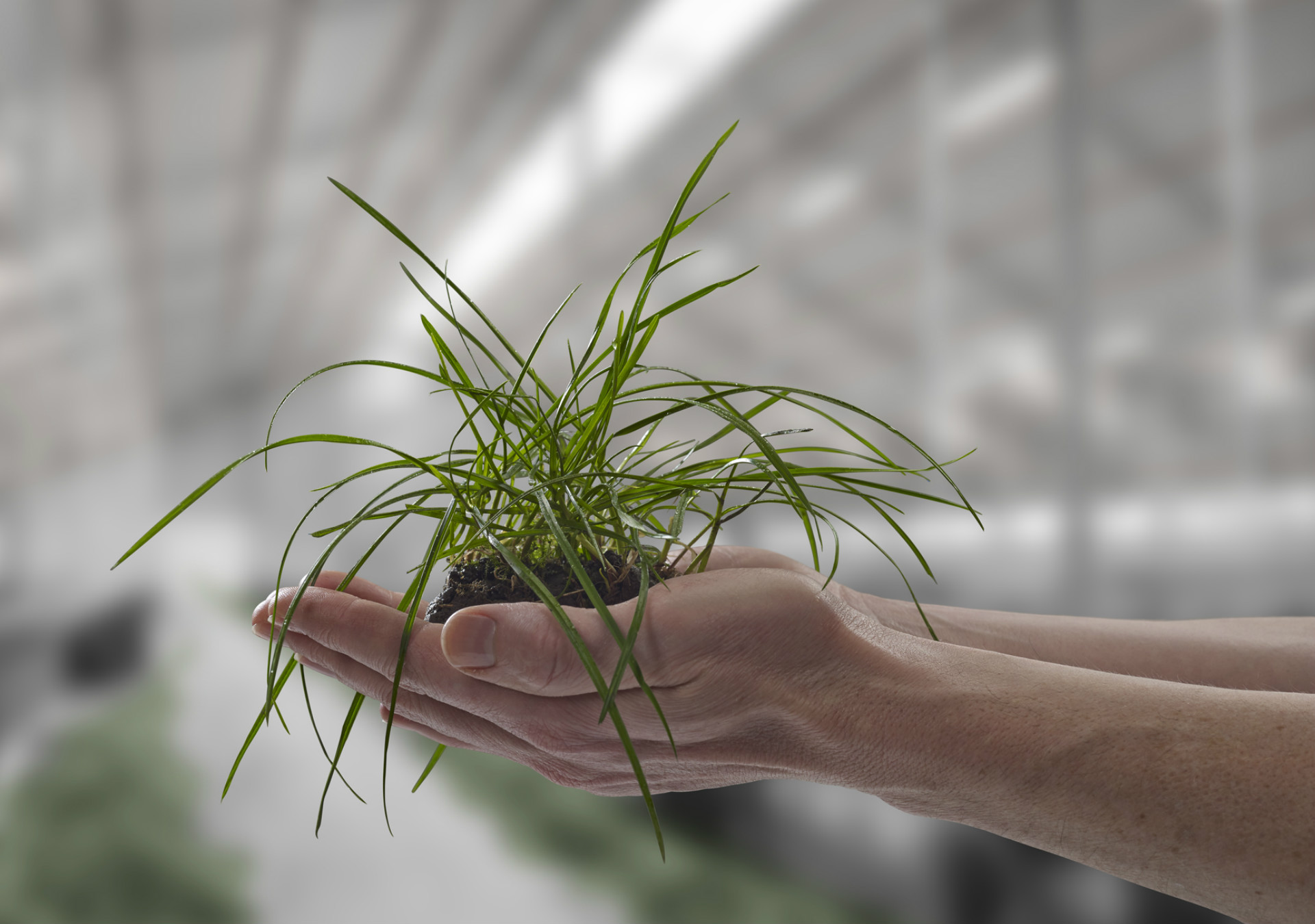 Remco Hand models The Specials