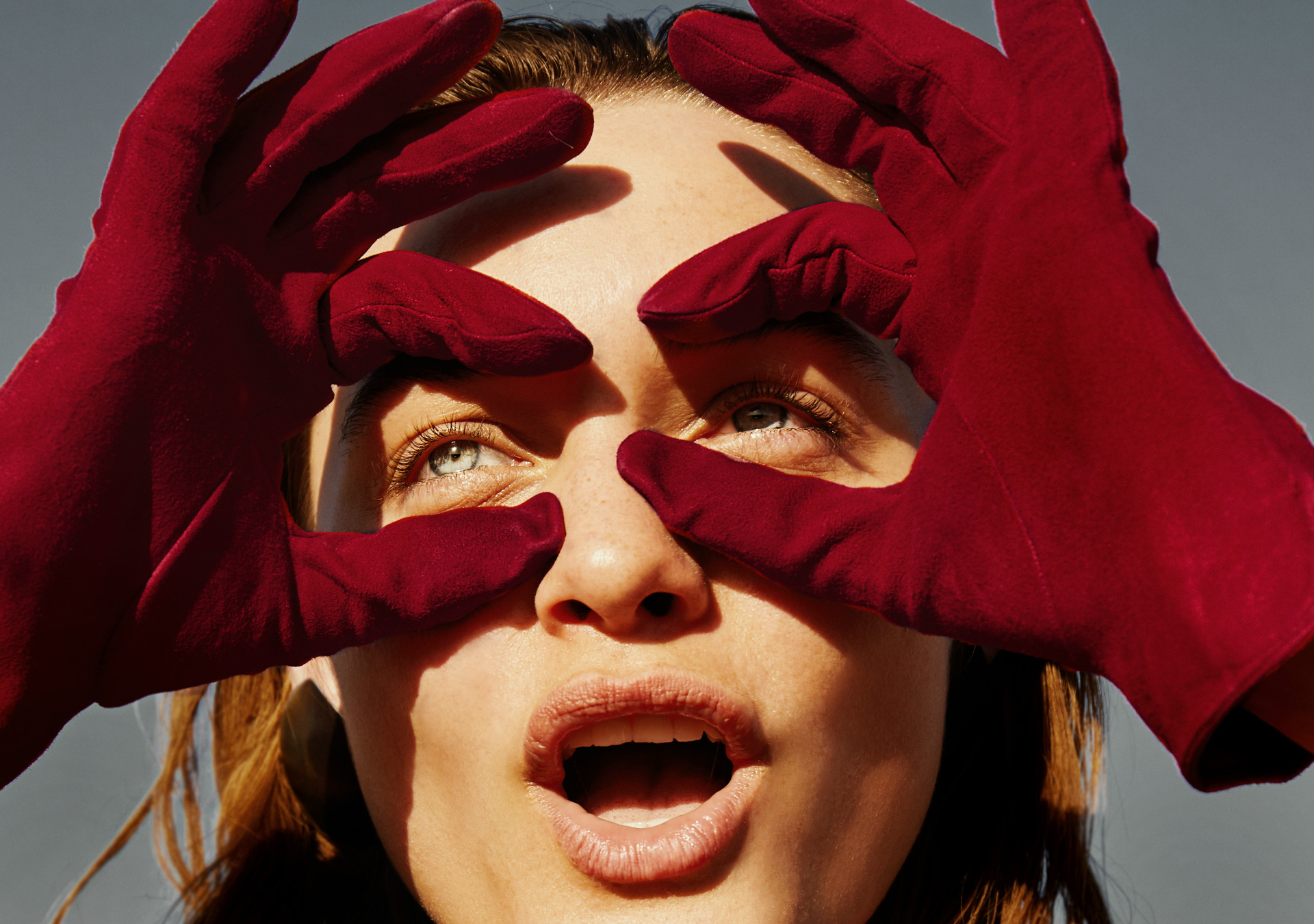 Leoni Holler Mainboard Touché Models