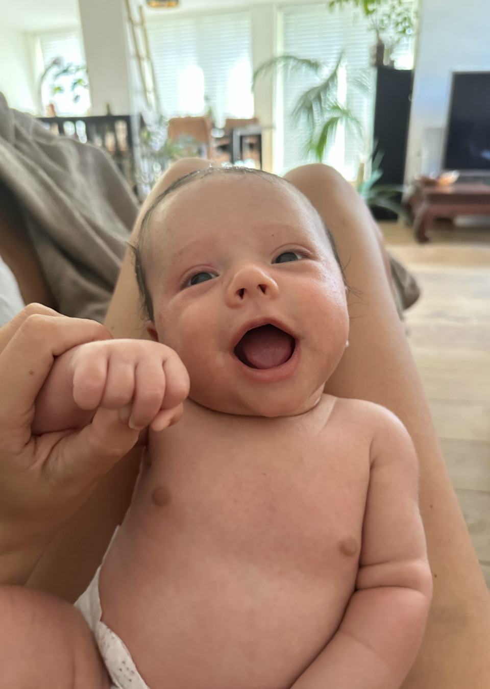 Tess Family The Specials