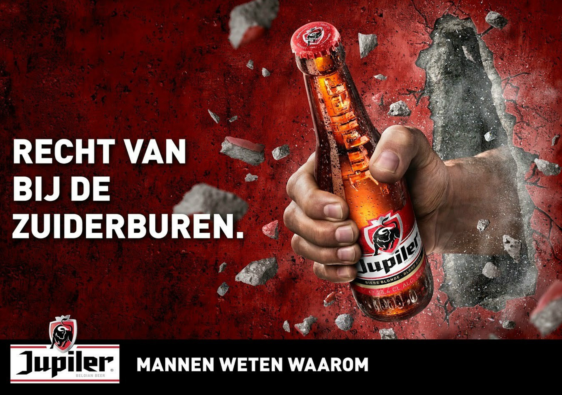 Peter Hand models The Specials