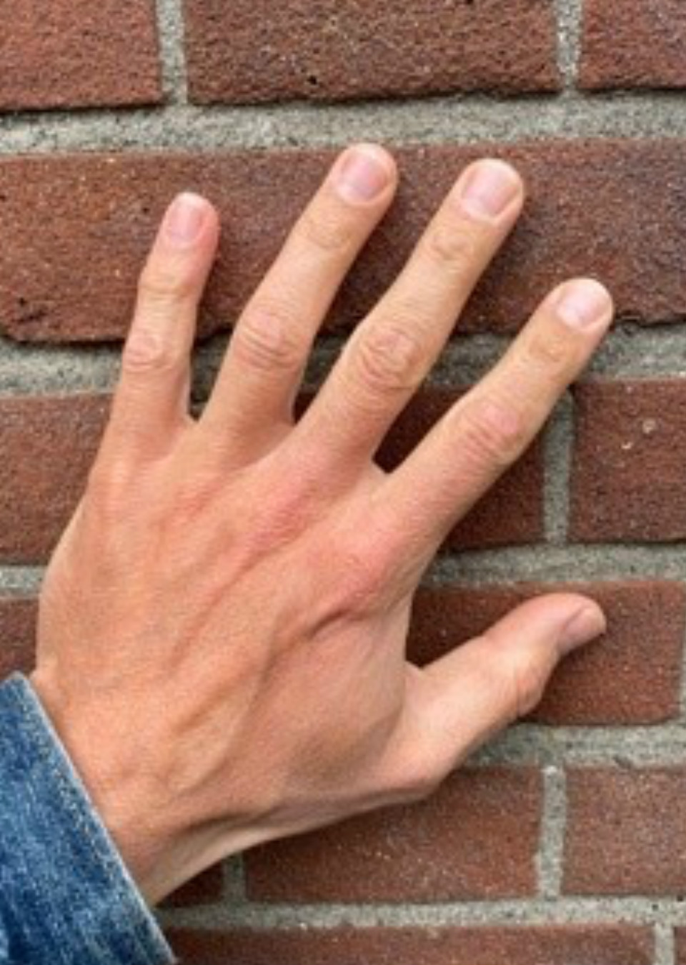 Peter Hand models The Specials