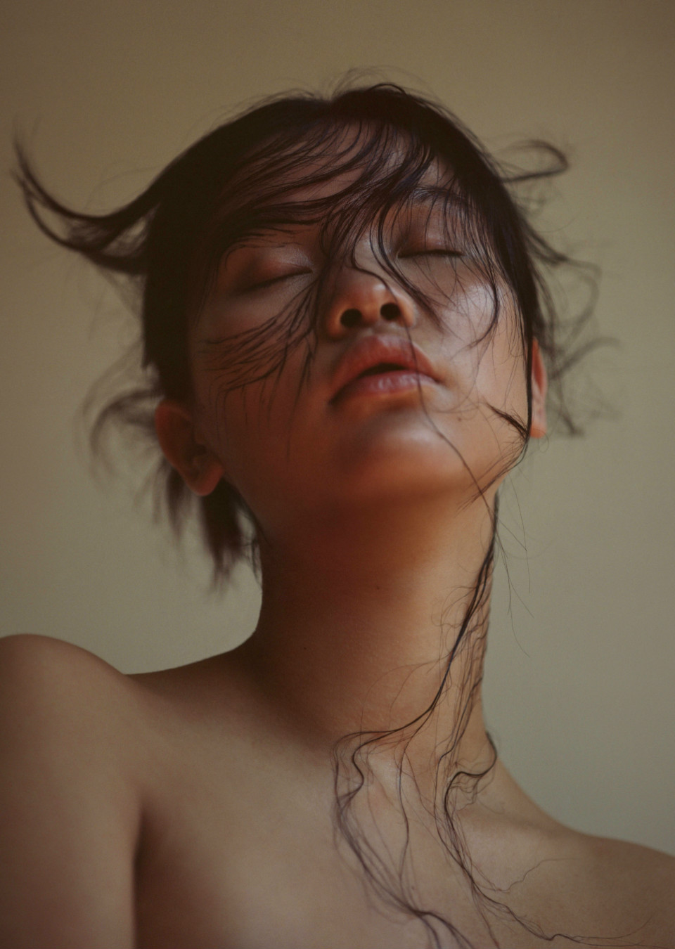 Lanxiang Vermeulen Mainboard Touché Models