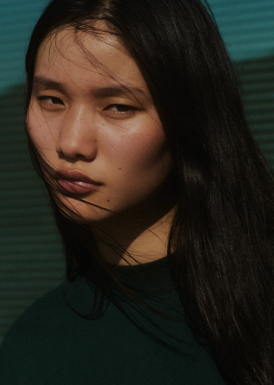 Lanxiang Vermeulen Mainboard Touché Models