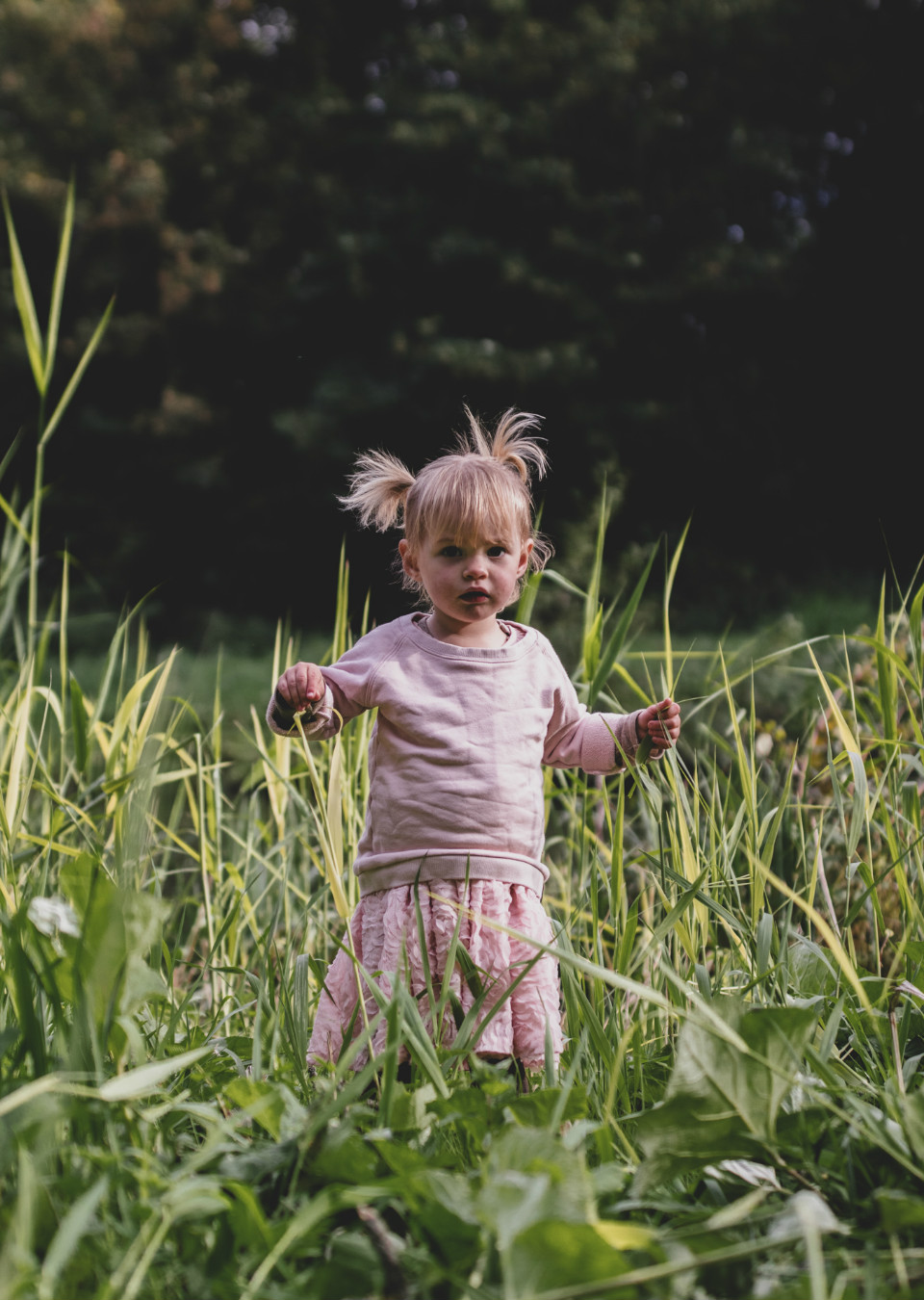 Viviane Family The Specials