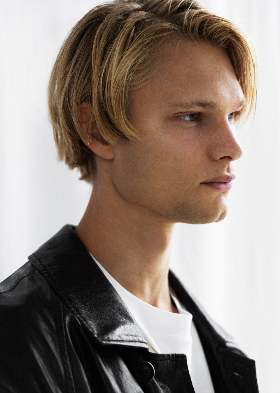 JESSE HOOITES Mainboard MAXModels